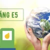 Xăng E5 là gì? Phân biệt với E10 và lựa chọn phù hợp