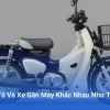 Xe Gắn Máy Là Gì? Phân Biệt Và Đặc Điểm Chi Tiết Nhất 2026