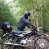 Xe Win 100 Indonesia: Giá Bán và Đánh Giá Chi Tiết Phiên Bản Mới 2026