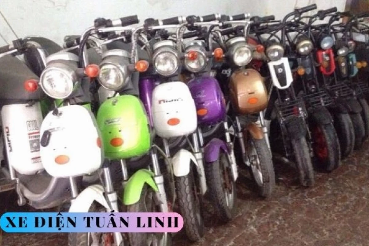 Xe đạp điện 2 triệu: Lựa chọn nào tốt nhất cho bạn năm 2026?