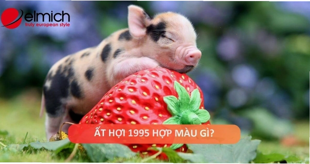 1995 hợp màu gì Chọn màu cho tình duyên, công danh hanh thông