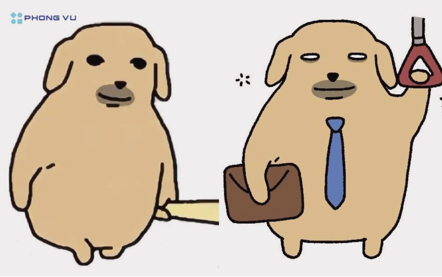 Ảnh chó dễ thương với biểu cảm meme