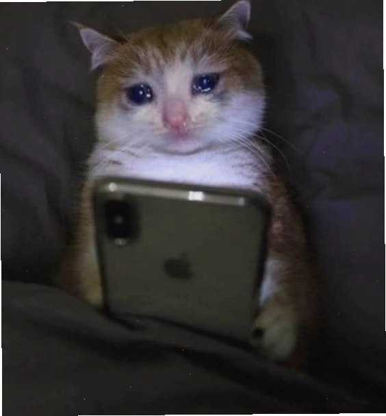 Ảnh gốc meme chú mèo với đôi mắt ngấn lệ đỏ hoe được ghép khéo léo