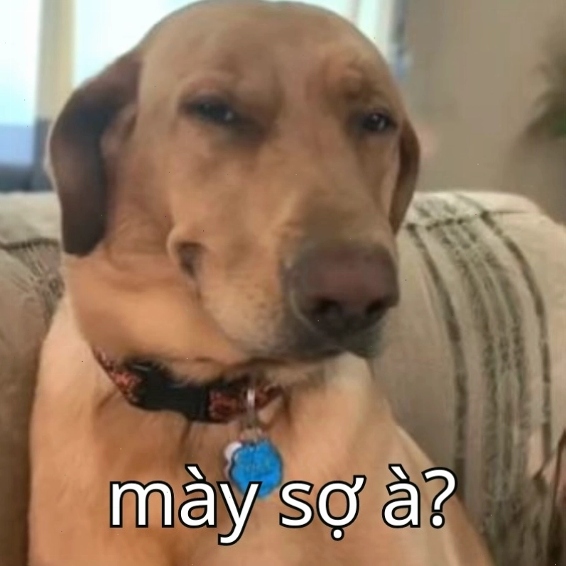 Ảnh meme "Anh bạn à" với câu hỏi "Mày sợ nó à"