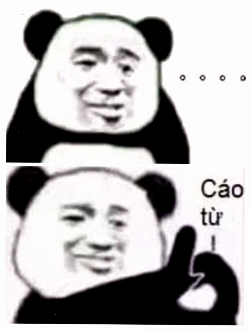 Ảnh meme chú gấu trúc Trung Quốc với biểu cảm đáng yêu nhưng có chút lém lỉnh