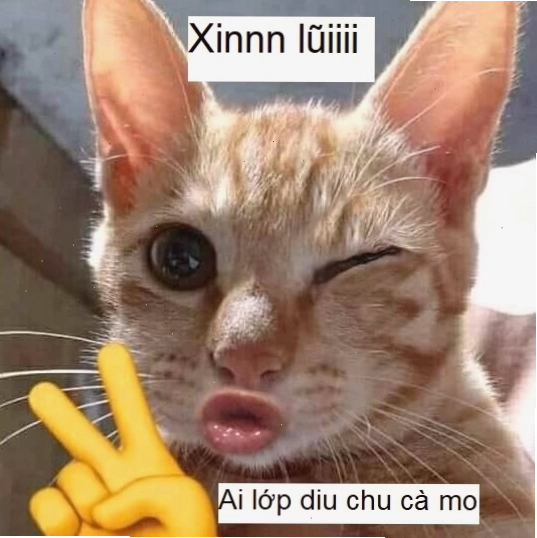 Ảnh meme chú mèo đang ngồi thu mình lại, hai mắt chớp chớp như đang hối lỗi về một lỗi lầm nào đó.