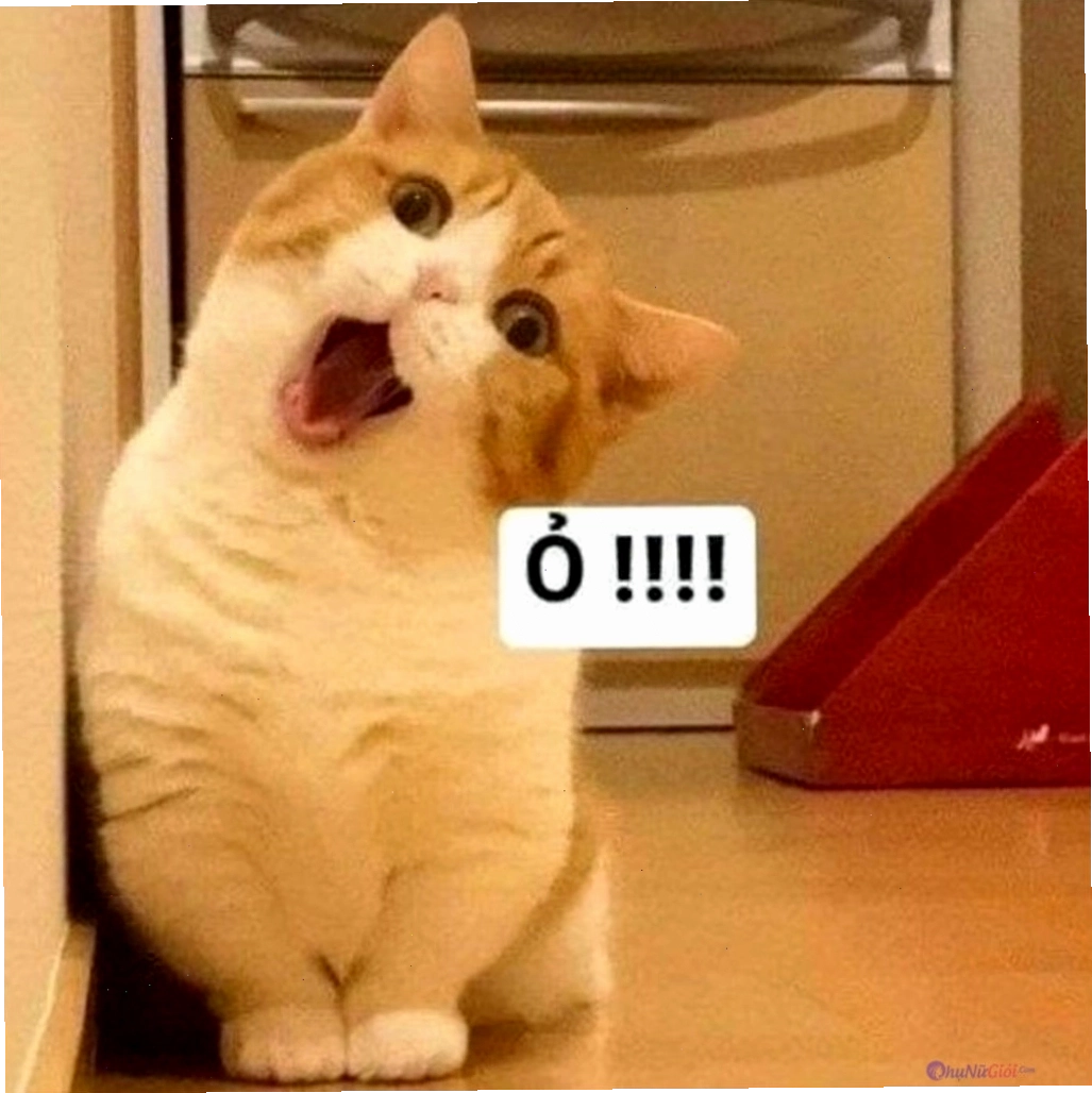 Ảnh meme chú mèo với đôi mắt ướt át, biểu cảm buồn bã nhưng vẫn dễ thương