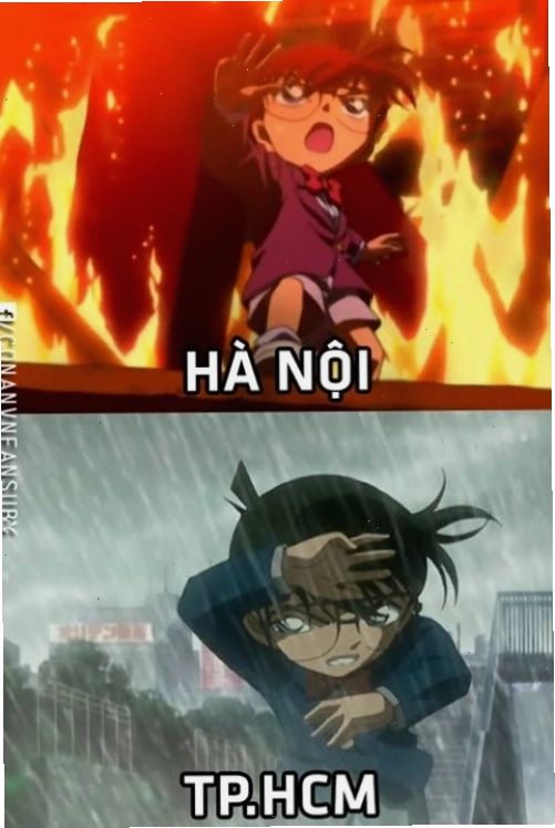 Ảnh meme Conan đang nhìn chằm chằm vào một thứ gì đó với vẻ mặt tò mò