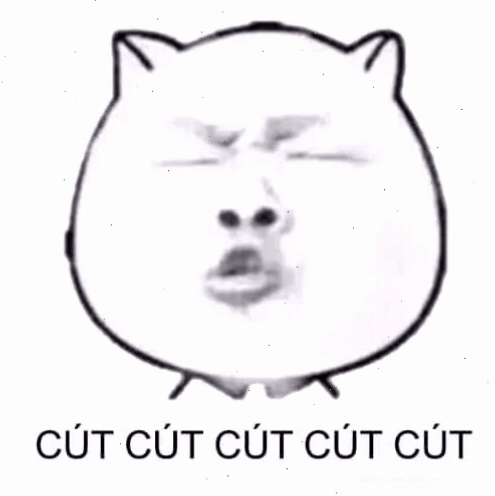 Ảnh meme gấu trúc đang chạy trốn với vẻ mặt hoảng hốt