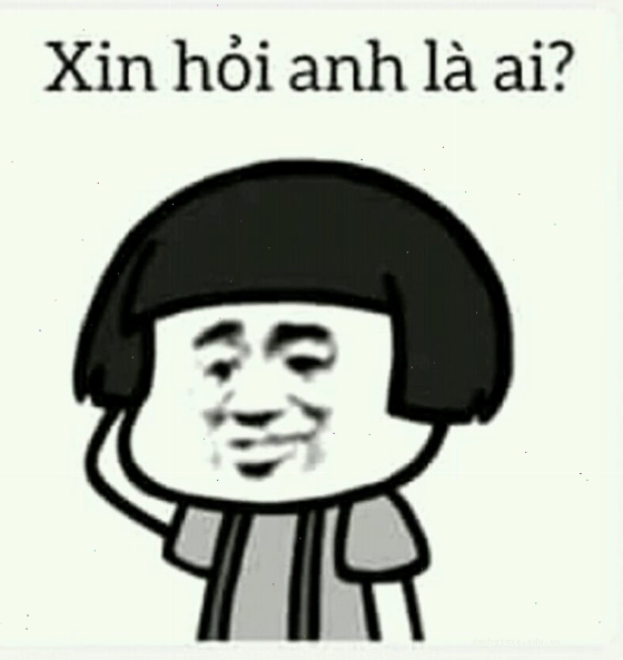 Ảnh meme gấu trúc với biểu cảm ngơ ngác, hai mắt mở to nhìn thẳng