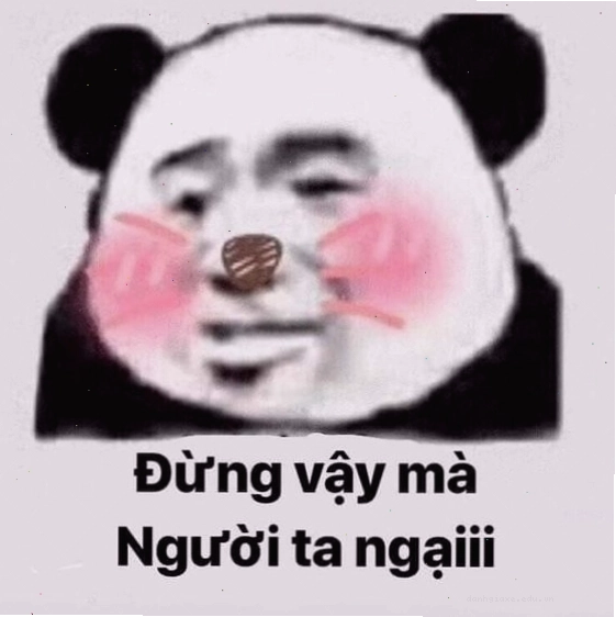 Ảnh meme gấu trúc với biểu cảm ngượng ngùng, hai má hơi ửng hồng