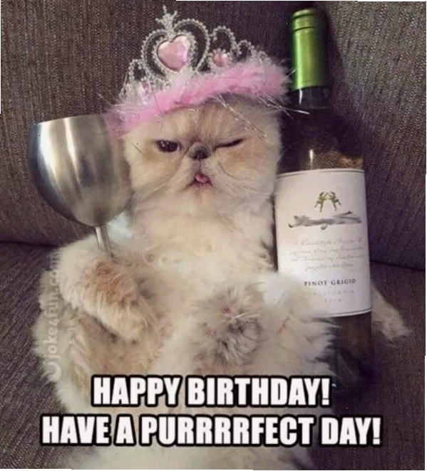 Ảnh meme happy birthday chú mèo đang vui vẻ nhảy múa