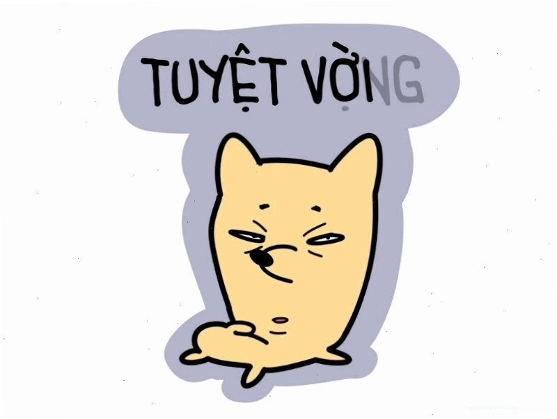 Ảnh meme minh họa sự đối lập giữa 'tuyệt vời' và 'tuyệt vọng'