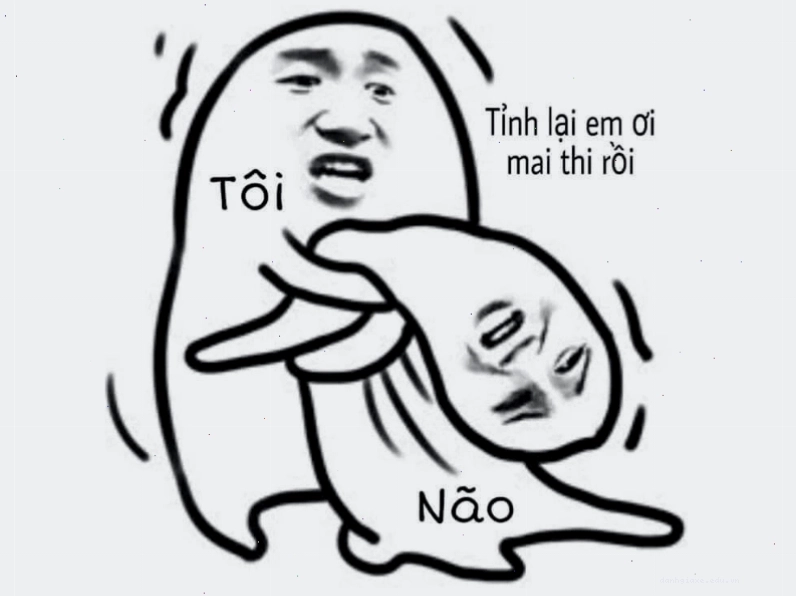 Ảnh meme minh họa tình trạng não bộ khi đối mặt với bài kiểm tra vào ngày mai