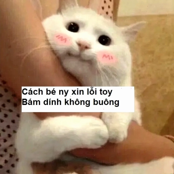 Ảnh meme một chú chó con đang ngước nhìn với vẻ mặt "van xin", kèm theo dòng chữ "Dỗ đi mà" tạo sự hài hước.