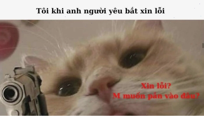 Ảnh meme một chú chó với khuôn mặt như vừa làm điều gì đó sai trái, đôi mắt nhìn xuống đất đầy vẻ hối lỗi.
