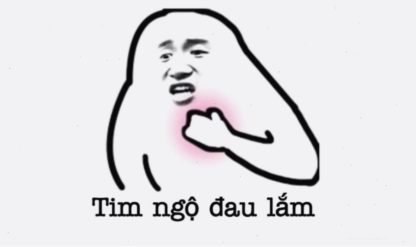 Ảnh meme một chú mèo với biểu cảm 'thốn' và hài hước, một ví dụ điển hình của meme điện thoại mèo.