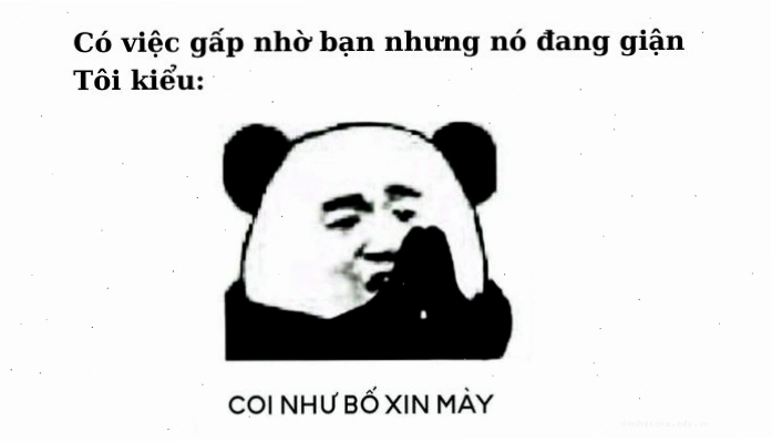 Ảnh meme một người đàn ông trung niên với vẻ mặt nghiêm nghị nhưng ẩn chứa sự hài hước, thể hiện thái độ "bố mày xin mày đấy".