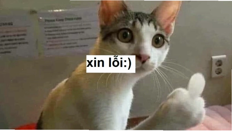 Ảnh meme một người đang nhìn với vẻ mặt "khó ở", kèm dòng chữ "Xin lỗi cái đứa khó ưa" đầy mỉa mai.