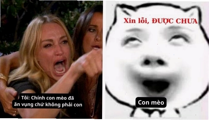 Ảnh meme một người đang quỳ gối với dáng vẻ khẩn khoản, đặt tay lên ngực như đang cầu xin được tha thứ.