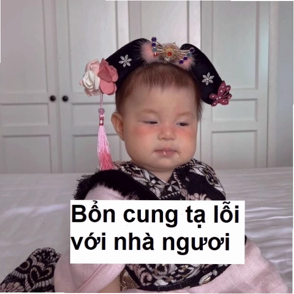 Ảnh meme một người phụ nữ mặc trang phục cổ trang với vẻ mặt trang nghiêm, tuyên bố "Bổn cung tạ lỗi với ngươi".