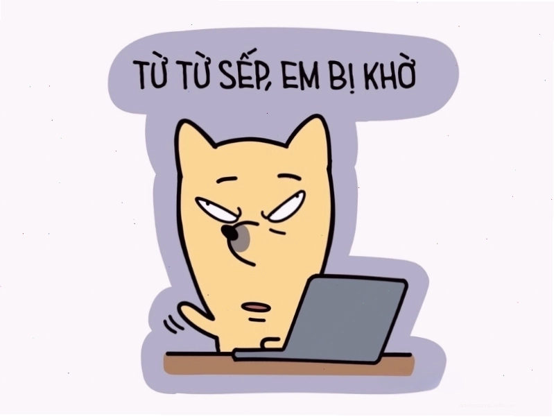 Ảnh meme một người với vẻ mặt ngơ ngác, hơi ngốc nghếch và dòng chữ 