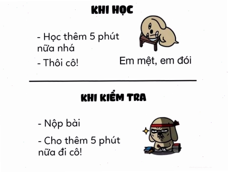 Ảnh meme so sánh 5 phút học bài và 5 phút làm bài kiểm tra, thể hiện sự khác biệt về tốc độ