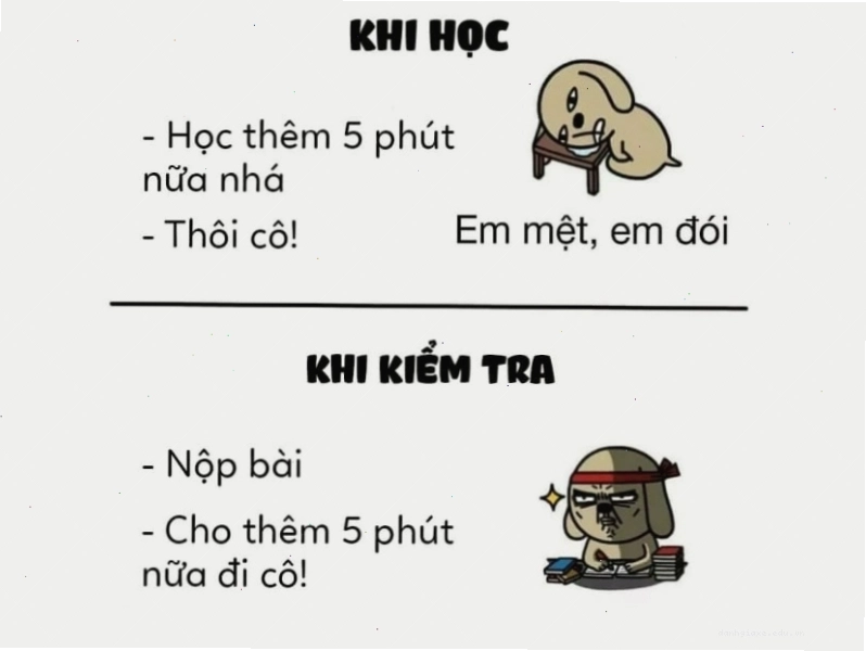 Ảnh meme so sánh sự khác biệt giữa 5 phút học bài và 5 phút làm bài kiểm tra