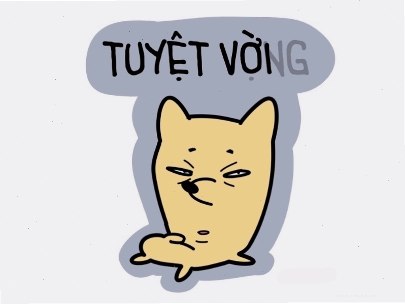 Ảnh meme thể hiện sự đối lập giữa cảm xúc tuyệt vời và tuyệt vọng trong cùng một tình huống