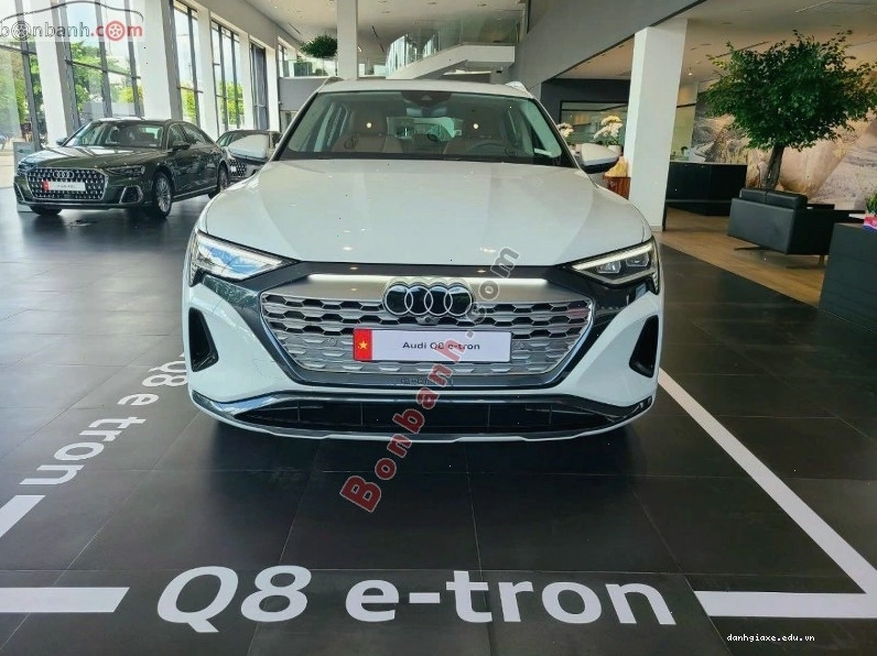 Audi Q8 E-Tron 2026 - Xe điện SUV sang trọng