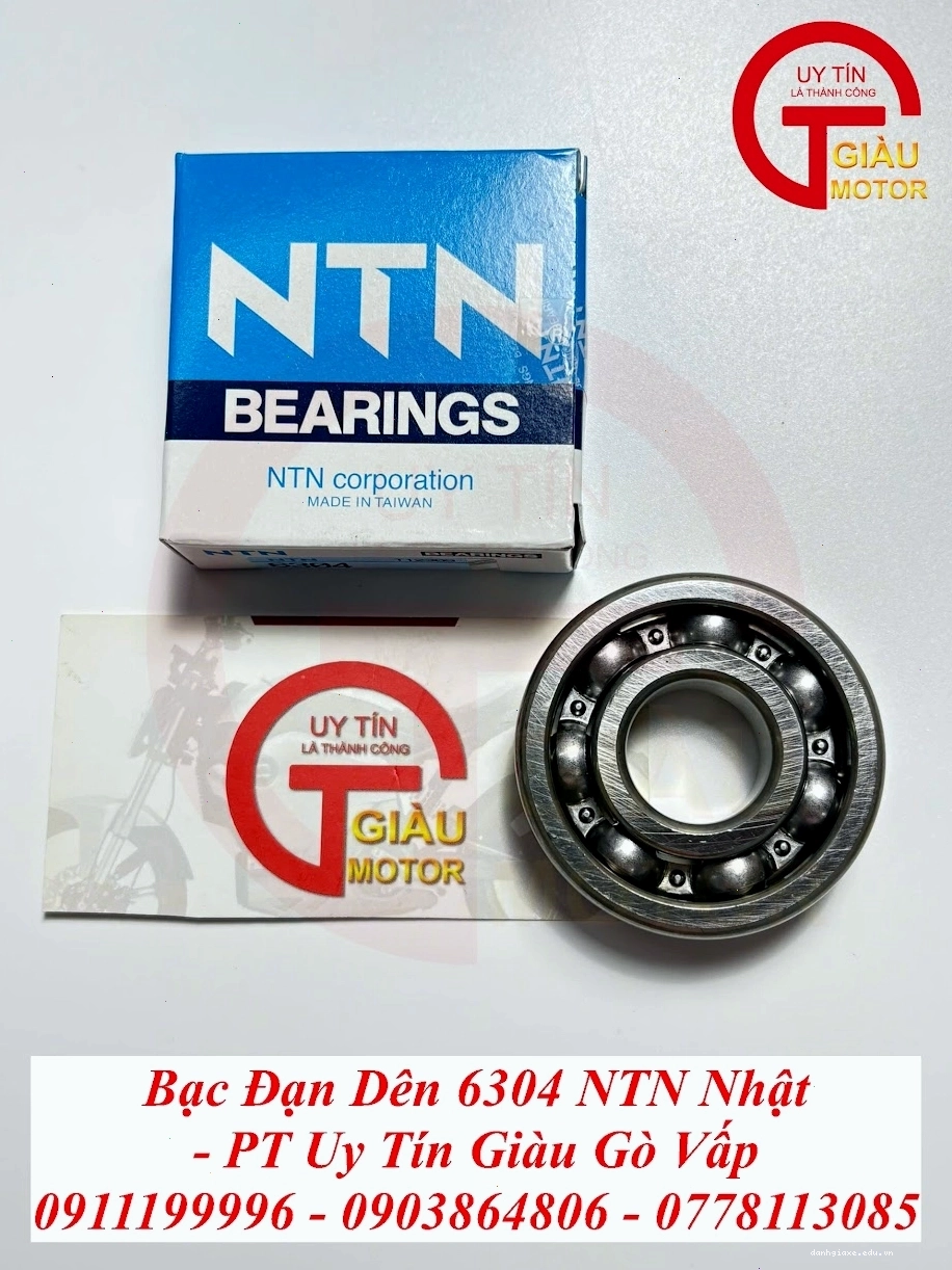 Bạc Đạn Dên 6304 NTN Nhật