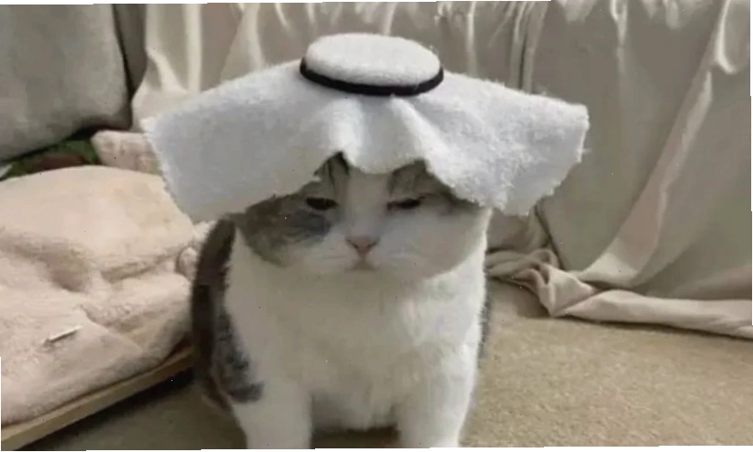 Biểu cảm 'khó đỡ' với ánh mắt lơ đãng và khuôn mặt đơ cứng, một dạng meme vô tri.