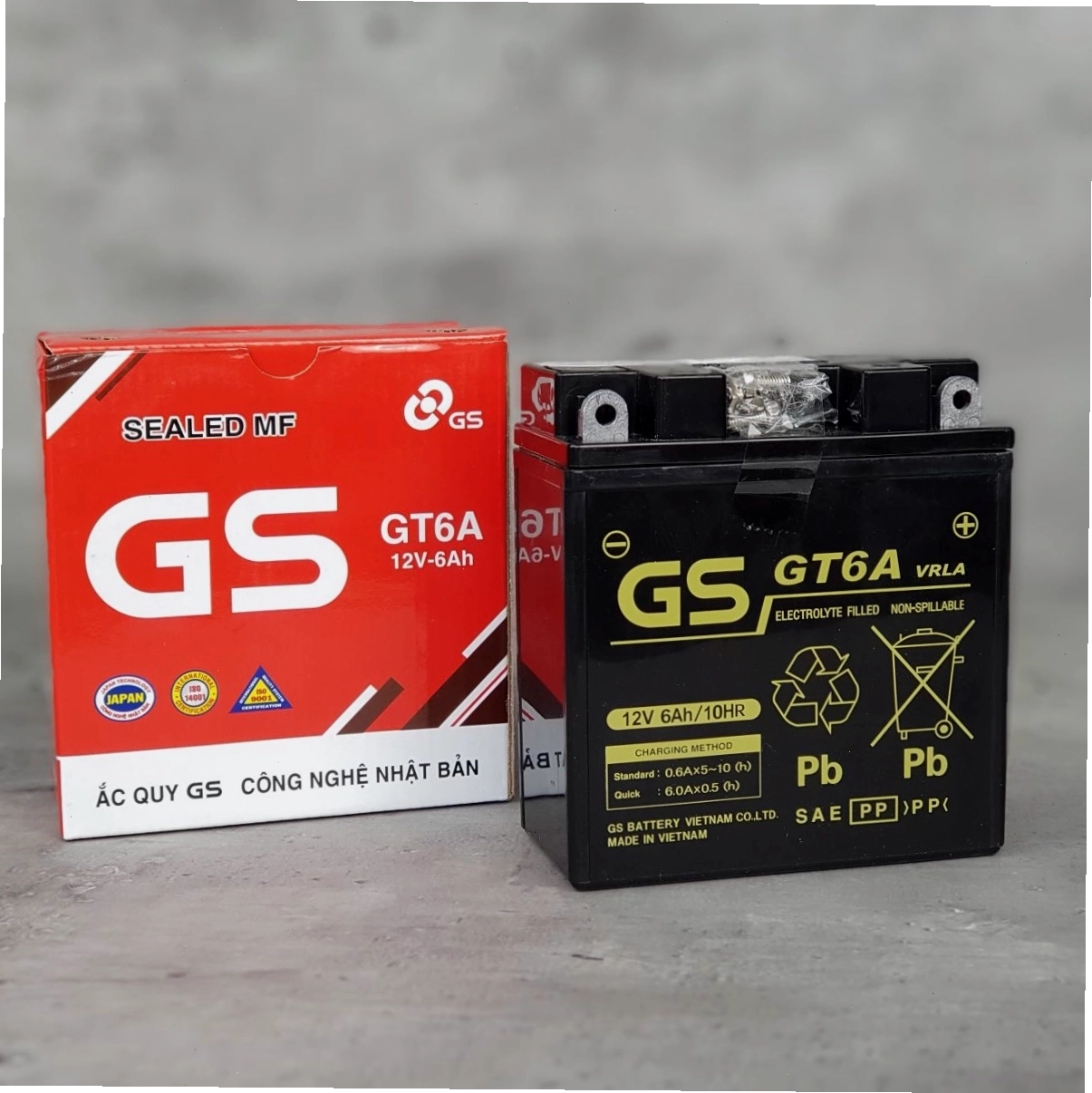 Bình ắc quy xe máy GS GT6A 12V 7Ah