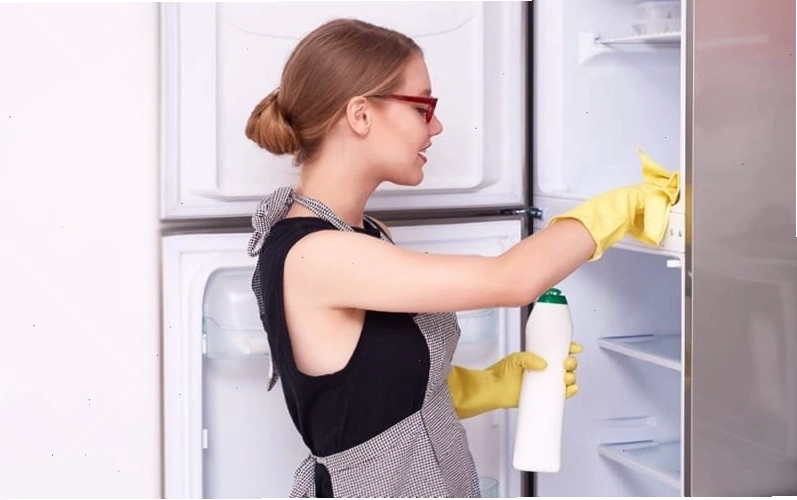 Các bước tổng vệ sinh tủ lạnh chuyên sâu để loại bỏ mùi hôi