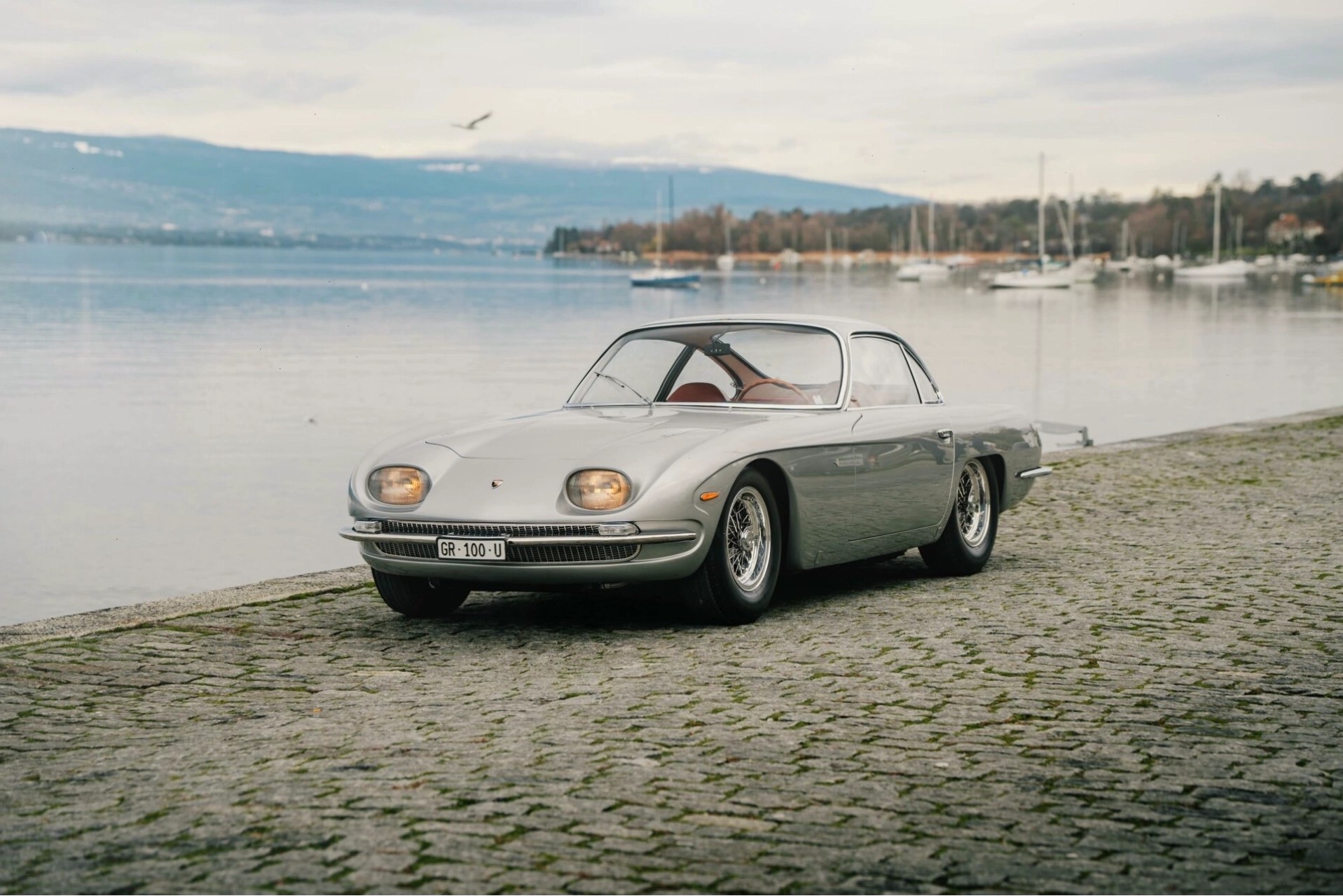 Cận cảnh logo bò tót trên Lamborghini 350 GT, biểu tượng của sức mạnh và di sản