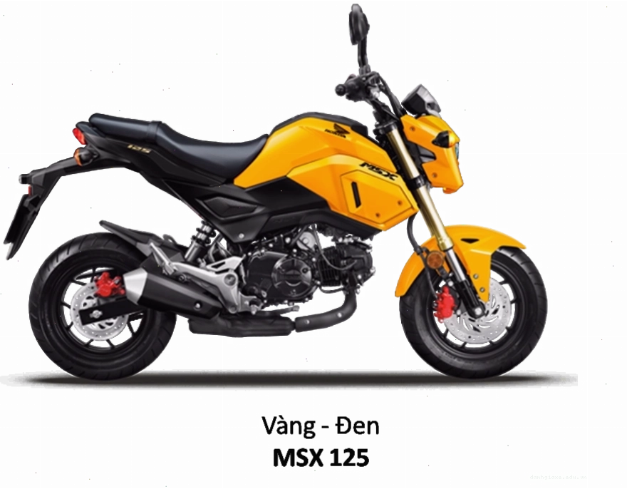 Chi tiết phần đuôi xe Honda MSX 125