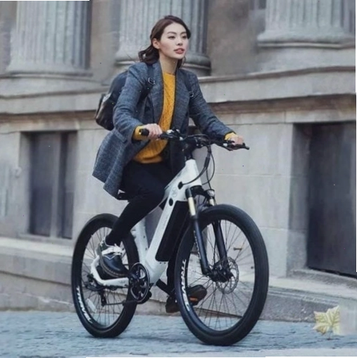 Chi tiết xe đạp trợ lực Xiaomi Himo C26