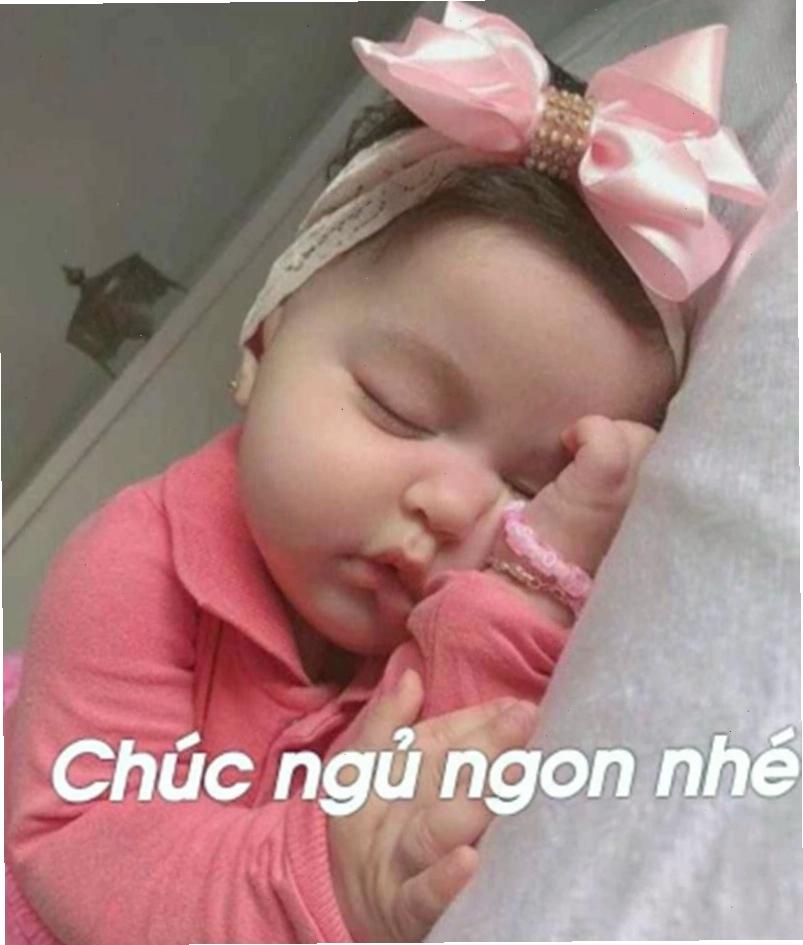 Chú chó con đang nằm cuộn tròn ngủ say sưa, trông cực kỳ bình yên.