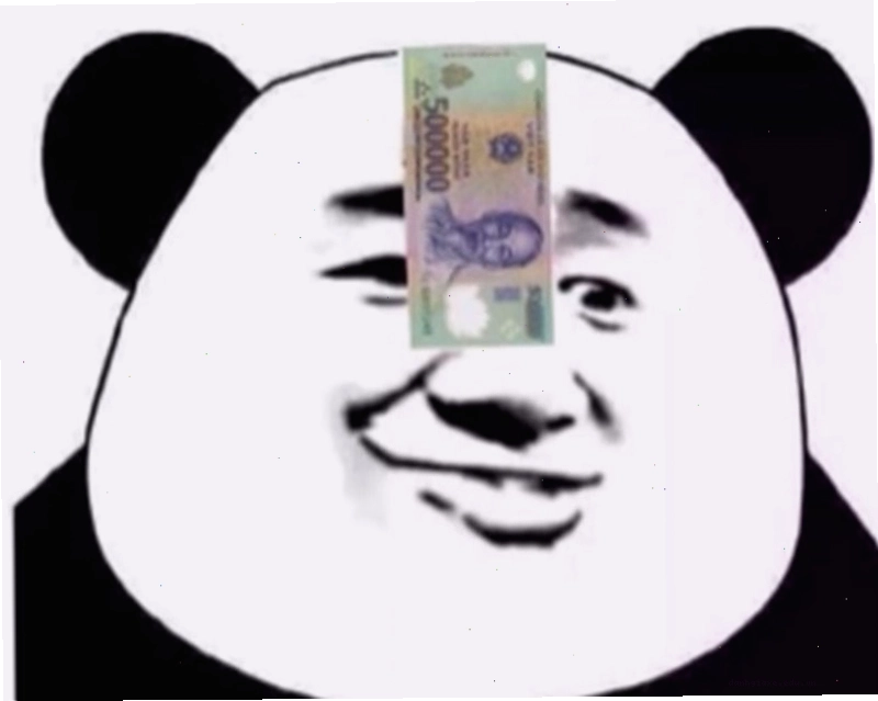 Chú chó với đôi mắt to tròn nhìn chằm chằm vào một tờ tiền, biểu cảm vừa thèm thuồng vừa tuyệt vọng