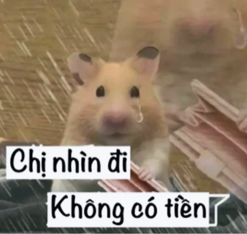 Chú chó với vẻ mặt ngây thơ, tay cầm một tờ tiền giả vờ không biết gì