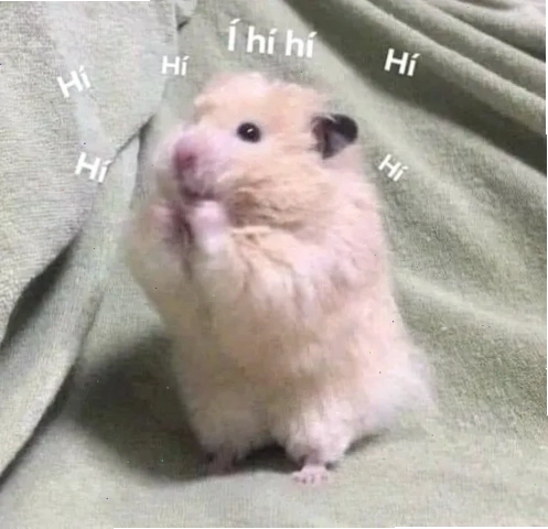 Chú chuột hamster nhỏ xíu màu hồng đứng bằng hai chân sau, chắp hai chân trước với ánh nhìn thú cưng ngây thơ