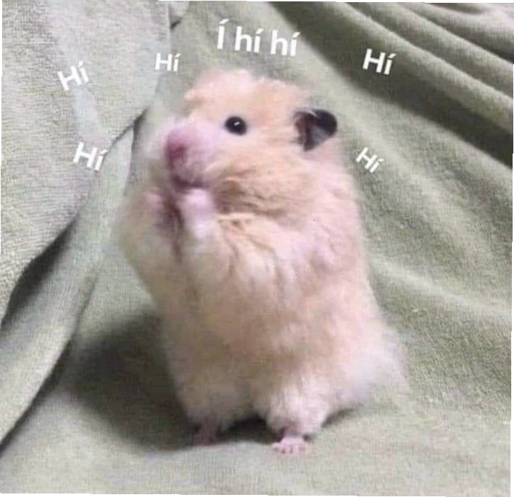 Chú hamster đang trong tư thế kỳ lạ, có thể là đang cố gắng nhoài người ra khỏi đâu đó