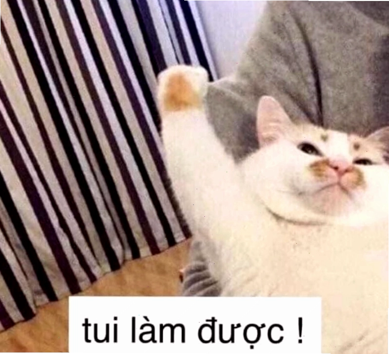 Chú mèo đang cố gắng leo lên một vật gì đó, biểu cảm có chút vất vả nhưng không bỏ cuộc