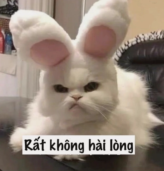 Chú mèo đang thể hiện sự buồn bã với đôi mắt lim dim