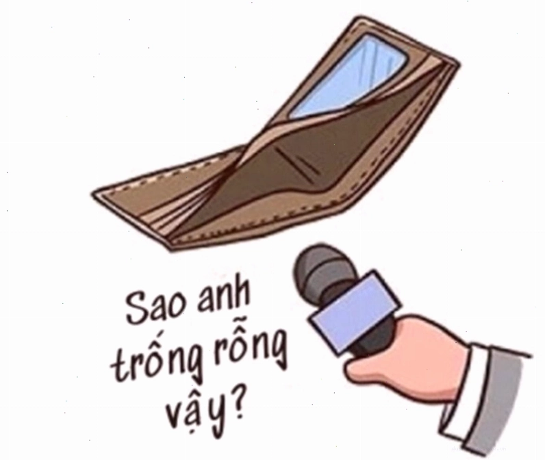 Chú mèo với vẻ mặt hoang mang, tay đang lục lọi trong chiếc túi trống rỗng