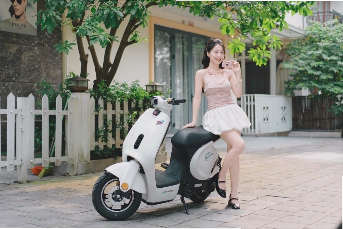 Giá xe đạp điện dành cho học sinh cấp 2