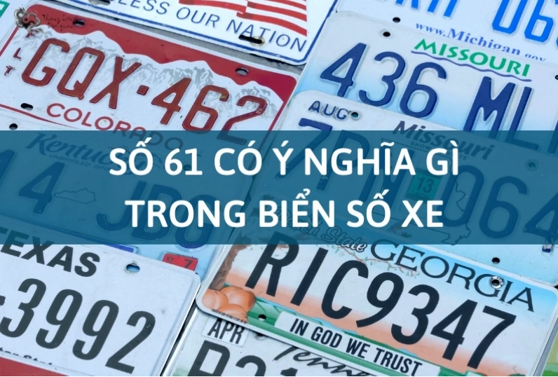 Giải mã ý nghĩa phong thủy của số 61 trong biển số xe
