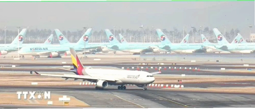 Hai hãng hàng không Korean Air và Asiana chính thức hợp nhất