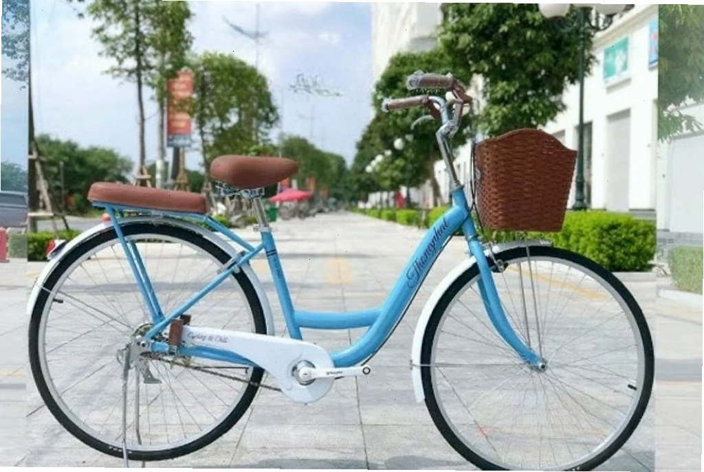 Hệ thống phanh an toàn trên xe đạp trợ lực điện Thống Nhất