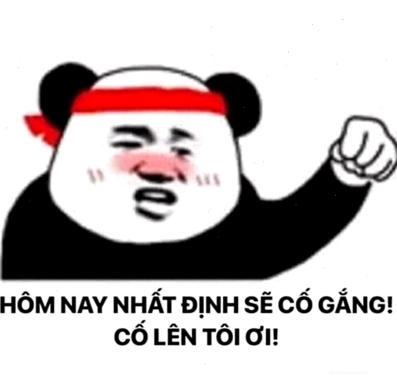Hình ảnh chú gấu trúc đang cố gắng giữ thăng bằng, thể hiện sự nỗ lực